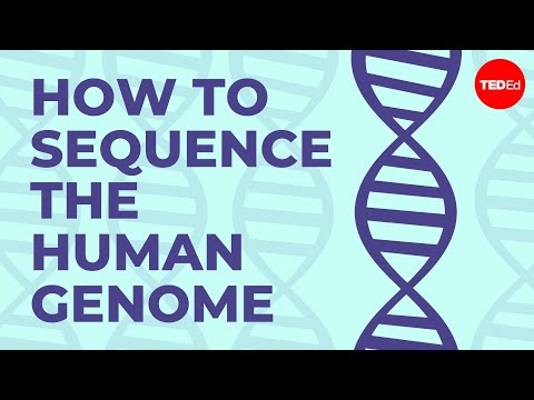 how to know dna sequence