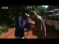 Endangered elephants in Africa tracked by conservationists - BBC wildlife