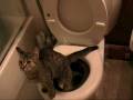 videos de Ning Ning Poo Dec 2 2008.mpg