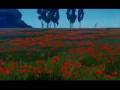 videos de La mia rappresentazione animata