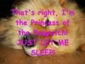 zzzzzzz's from the Dogpatch