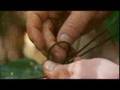 ray mears tarp knots