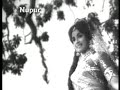 Instrumental