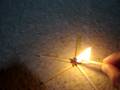 videos de LittleMaba - Science Experiment 3 Match Campfire Bomb
