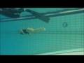 videos de Nanja van den Broek DNF 105 meter