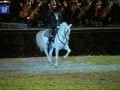 1. Andalusian Horses @ Lorenzo Horse Show OSTRAVA!!!