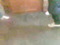 ahree!!! ahree!!!