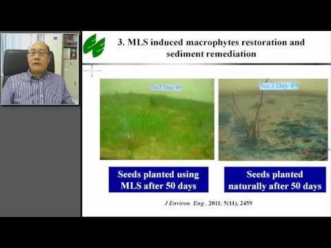 how to control eutrophication