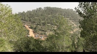 أحراش جيبيا مهددة بالمصادرة أحراش جيبيا مهددة بالمصادرة