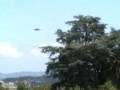 Harriers Low Pass at LECO