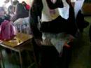 super dari