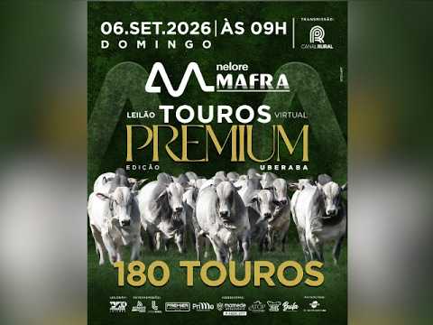 Leilão Virtual Touros Premium