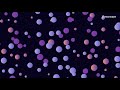 test- if you are watching please let me know if you cannot hear anything in the comments