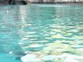 videos de Thailand Phi Phi Ley