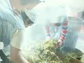 Travel Azores-Family Travel: Azores Travel Video PostCard