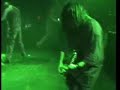 asesino-amor marrano asesino-amor marrano