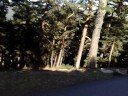 Haciendo deporte en Navacerrada