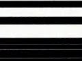 Re: Zebras Mating