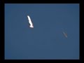THE BEST AIR RACE PILOT EVER!!!