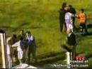 nice referee