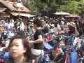 Stupid Girls take over Tokyo Disneyland! Stupid Girls take over Tokyo Disneyland!