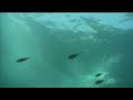Jetski Freestyle Turkey Jetski Freestyle Turkey