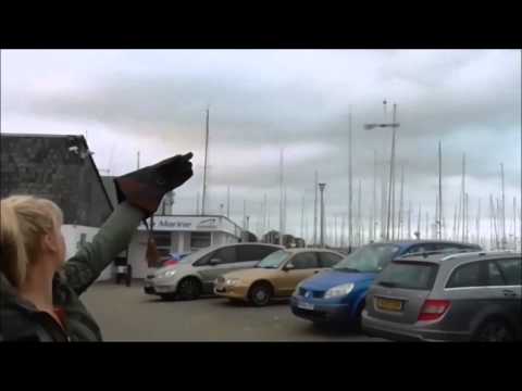 how to get rid birds