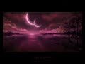 NOTTE STELLATA