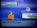 Catching a Shiny Spheal