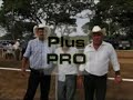 Carreras de Caballos 2008 desde La Venta Tabasco
