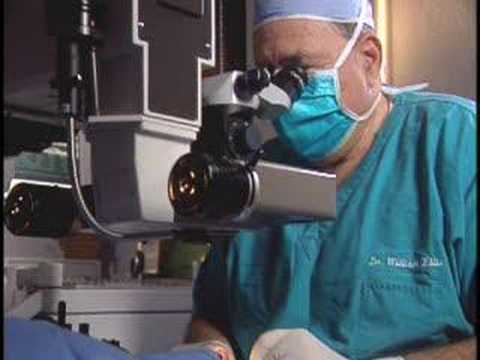 ELLIS LASER EYE CENTER 1 of 2