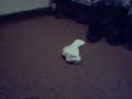 A Crawling Sock A Crawling Sock
