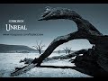 View: corrosion - unreal (new dubstep track
