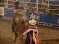 videos de Rodeio na 45ª Expofeira do Amapá