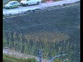 ALIENÍGENAS EN ALBORAYA, VALENCIA?