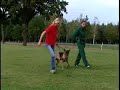 Faszination Hund 2006