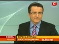 Видеоновость Ворона поссорила двух котов до драки