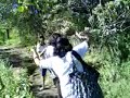 subiendo las tres
