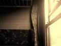 amon - my world for you
