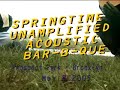 punkcast#73848  tk webb performing live at the first springtime unamplified acoustic bar-b-que in prospect park, brooklyn, on may 8 2005.

more info: http://punkcast.com/738