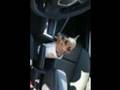 Funny Animals 31