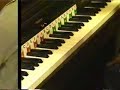 First lesson of an adult beginner. Piano exercises and games