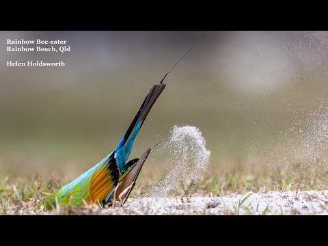 <p>The annual photoshow of images from BQ members for 2025.</p>
 video thumbnail