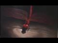 Project Insect