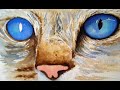 Watercolor Study of Cats Eyes