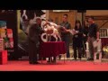 dog show 狗展 2009