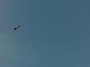 y f 22 raptor y f 22 raptor