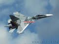 fuerza aerea venezolana-(fav)2