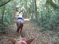 On horseback through the jungle in Gallon Jug, Belize On horseback through the jungle in Gallon Jug, Belize