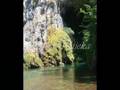 Alipasin-izvor-Gusin